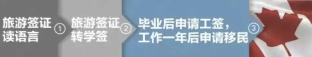 微信图片_20190318101756.jpg