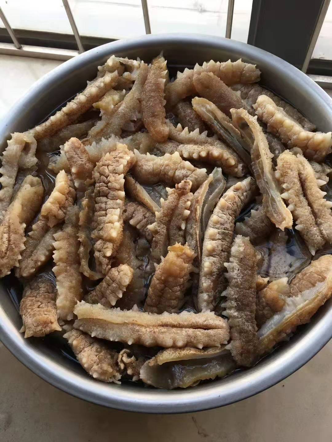 海参
