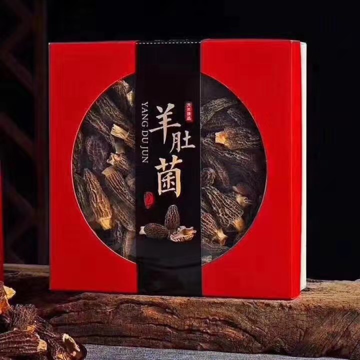 墨西哥龙纹参
