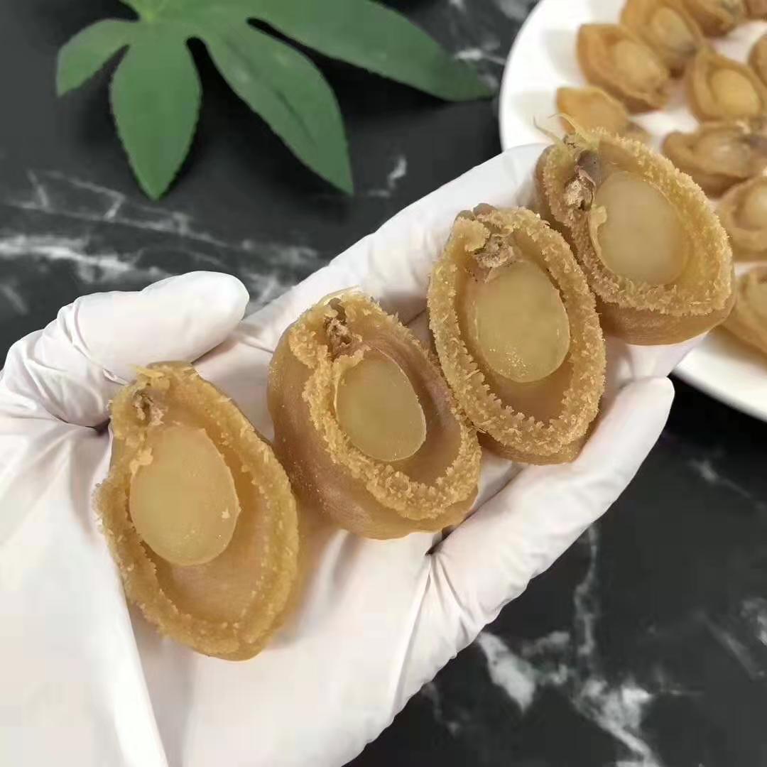 印尼海参