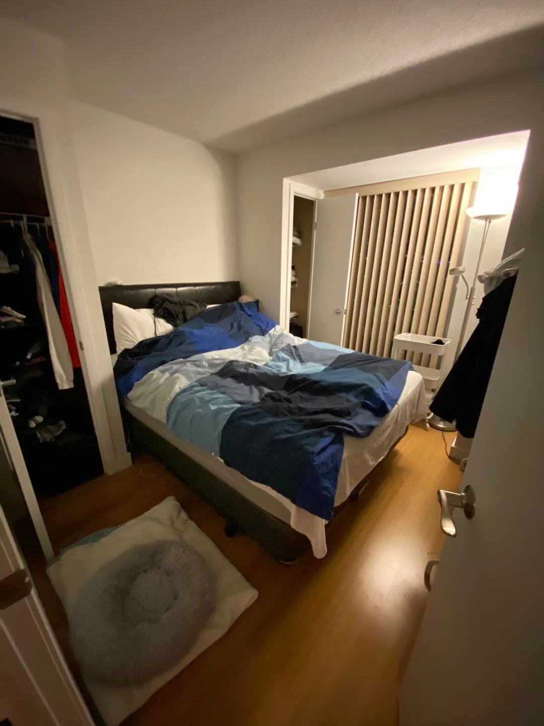 585103847.jpg