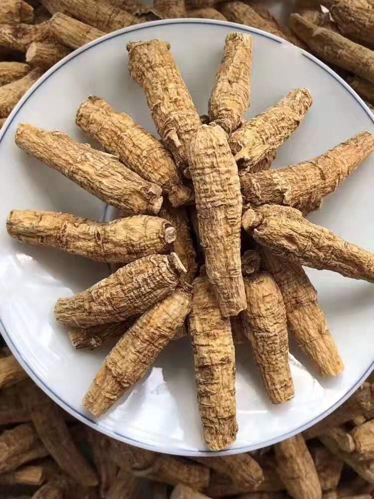 加拿大花期参