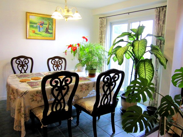 dining room.JPG