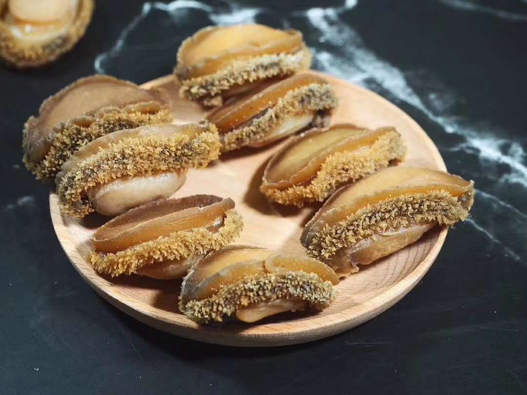 南非鲍鱼