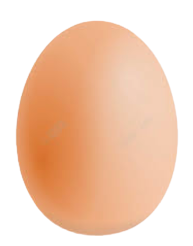 臭鸡蛋
